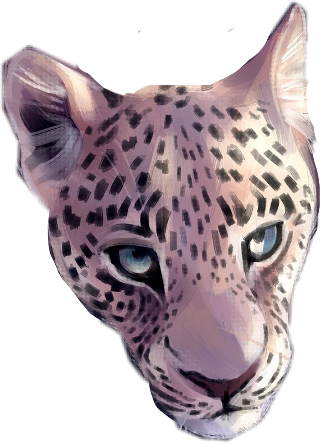 Snow Sticker - African Leopard (1024x1414), Png Download