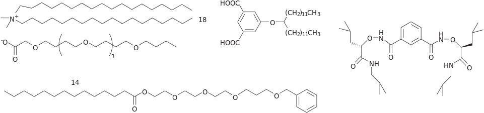 Minimalist Synthetic Ion Channels - Diagram (1024x308), Png Download