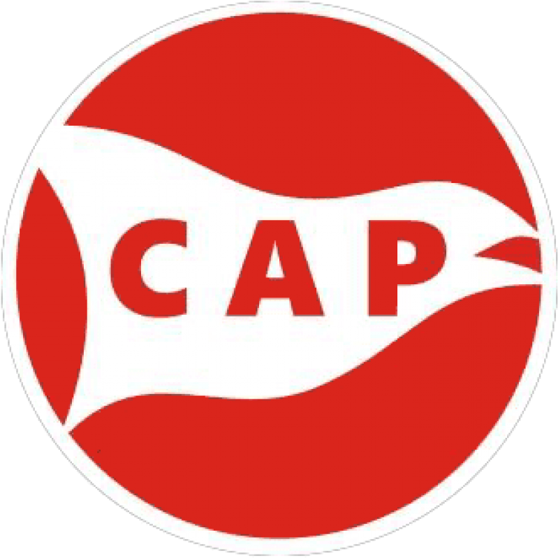 Download Ca Provincial Rugby Logo Png Images Background - Club Atlético Provincial (850x836), Png Download