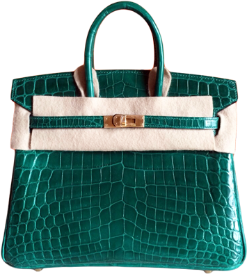 Hermes Birkin 25 Crocodile Green Emerald - Hermes Birkin 25 Croc (500x717), Png Download