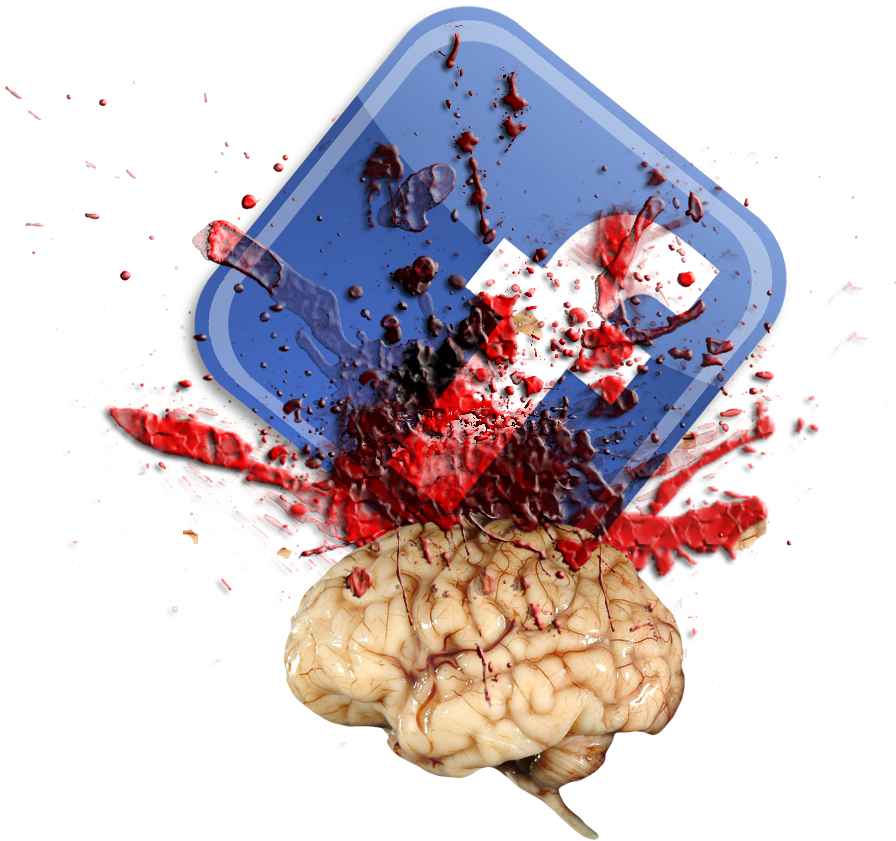 Corpus Antville Pdf Free Download - Brain (944x944), Png Download