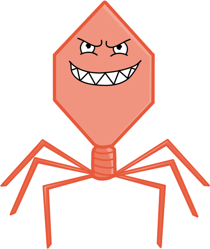 Amoeba Sisters - Amoeba Sisters Viruses Gif (920x961), Png Download