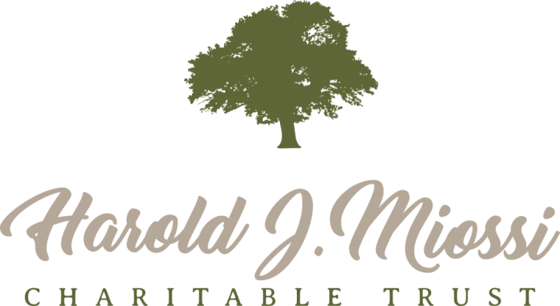 Miossi Trust Gives $20,000 - Tree (800x438), Png Download