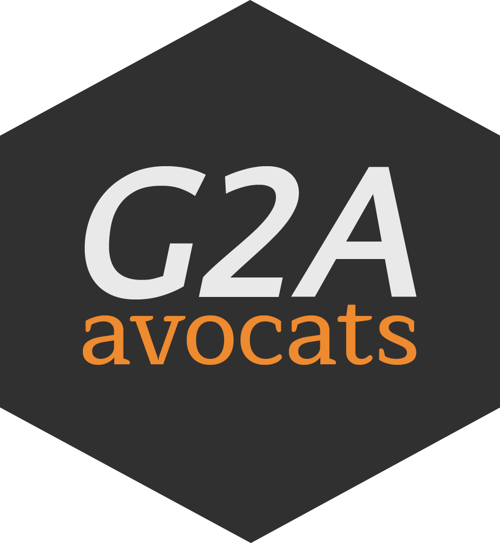 Aarpi G2a Avocats - Ignite Group Logo (1002x1088), Png Download