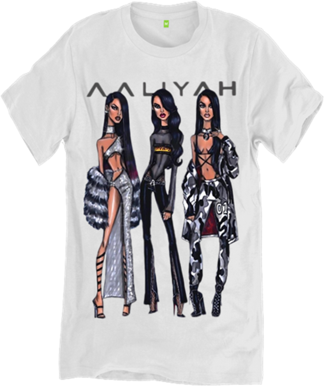 Aaliyah Personalised Usa Rap Hiphop 80's 90's Queen - Aaliyah Hayden Williams (1255x1600), Png Download