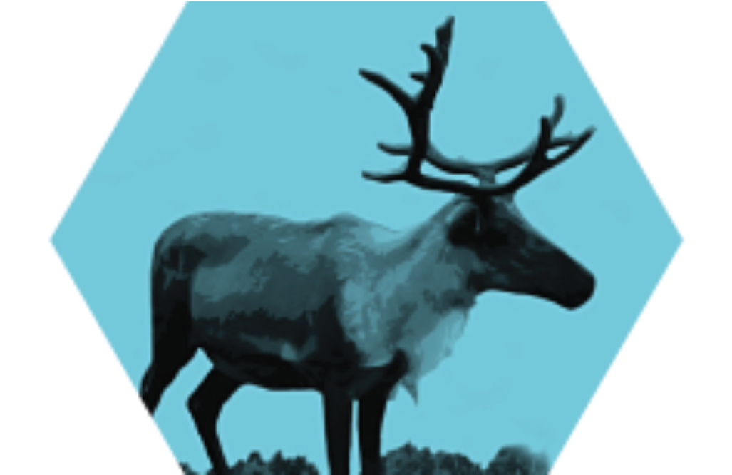 Antler (1160x665), Png Download