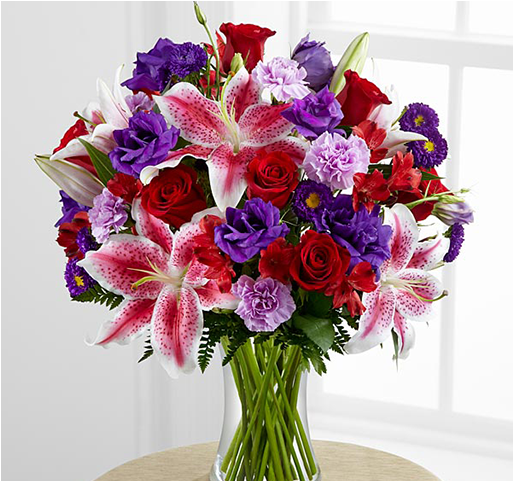 Product Details - Tulipanes De Costa Rica (800x480), Png Download