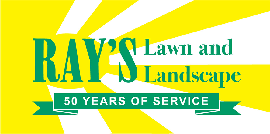 Rays - Graphic Design (887x887), Png Download