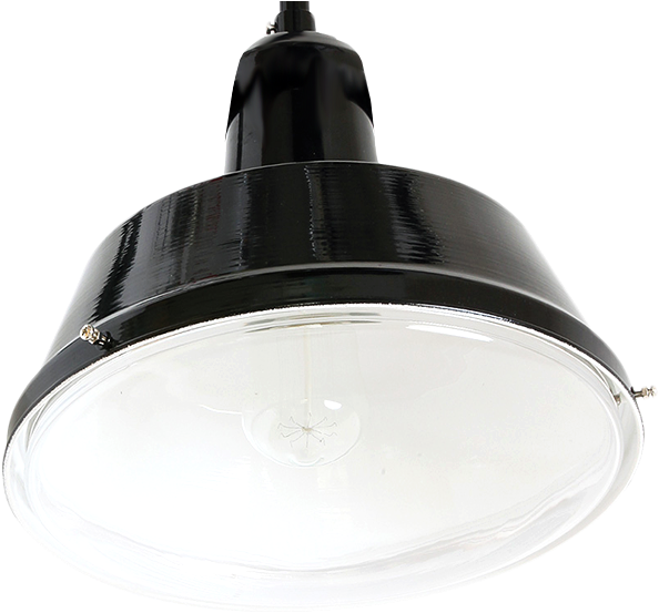 Bolich Pendant Glass Base Berlin - Ceiling Fixture (600x600), Png Download