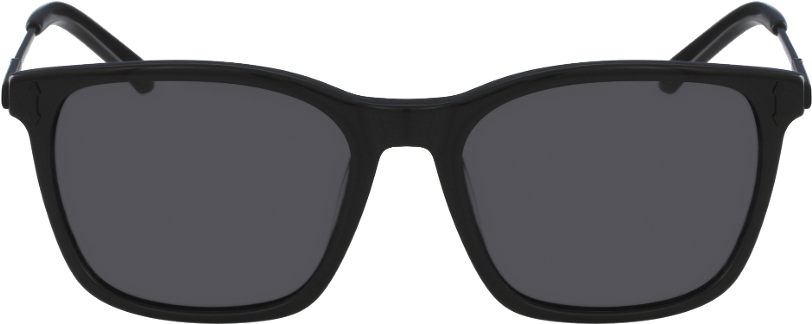 Dr524s Jake - Longchamp Lo618s (1117x480), Png Download
