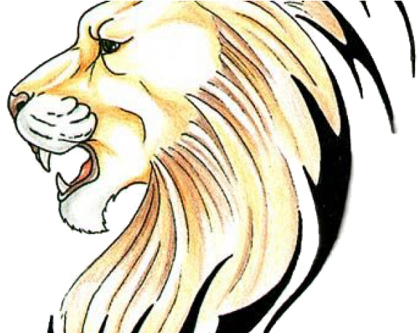 Lion Tattoo Clipart Bike - Lion Tattoo Designs (640x480), Png Download