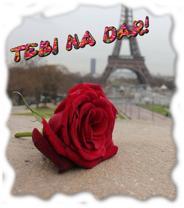 Photo Crvenaruza - Love In Paris (646x732), Png Download