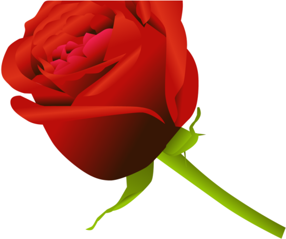 Rose Vector - Clip Art Rose Flower (640x480), Png Download