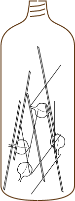 Soda Bottle - Soft Drink (800x800), Png Download