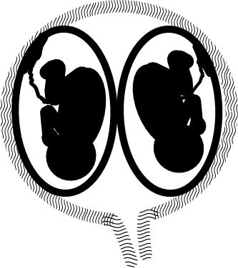 Dd-twins - Twins Png (333x376), Png Download