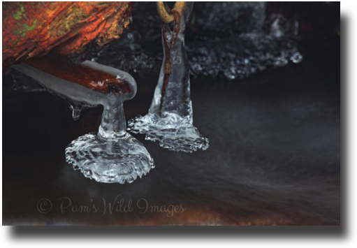 Img 8437 - Jpg - Still Life Photography (520x373), Png Download