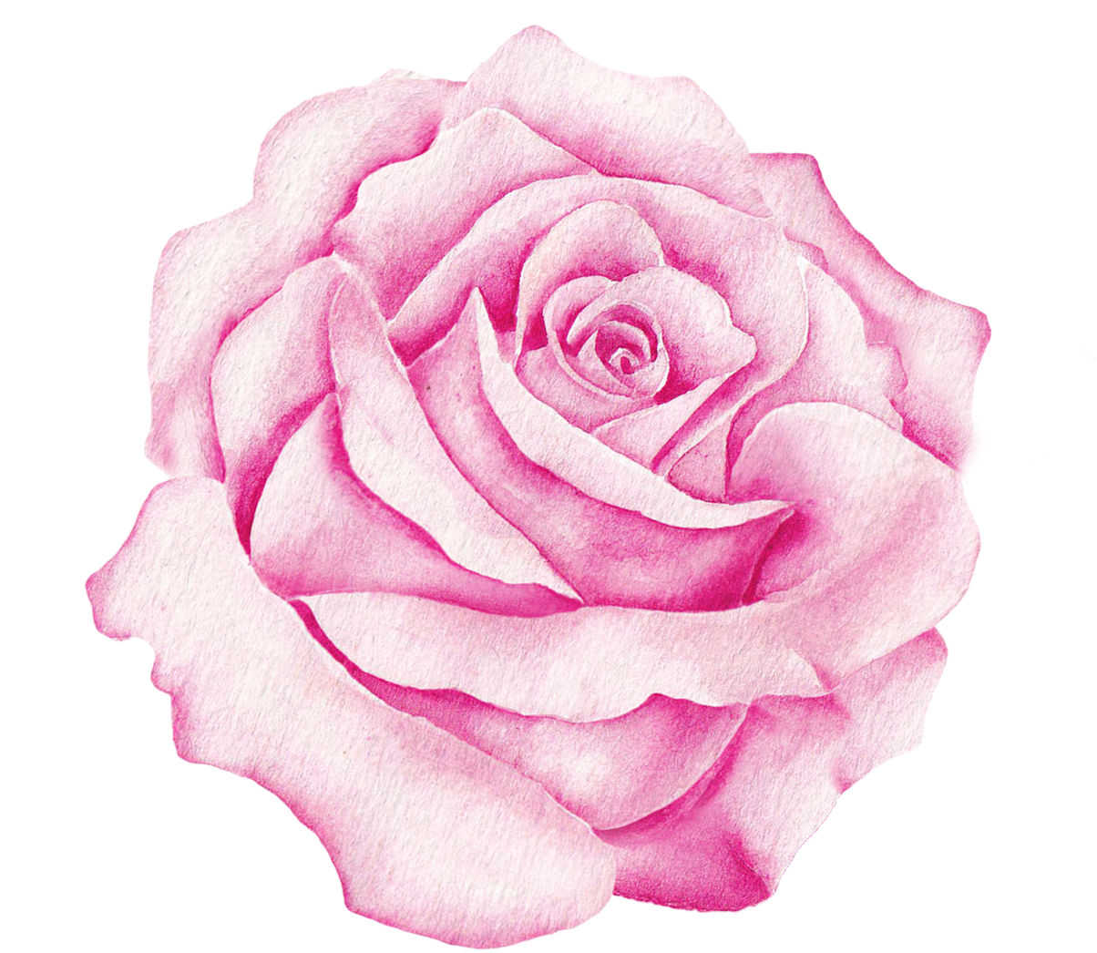 Watercolour - Pink (1203x1185), Png Download