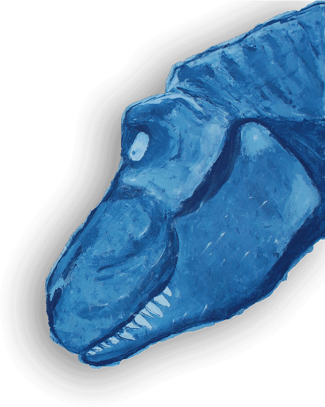 Sketch (660x825), Png Download
