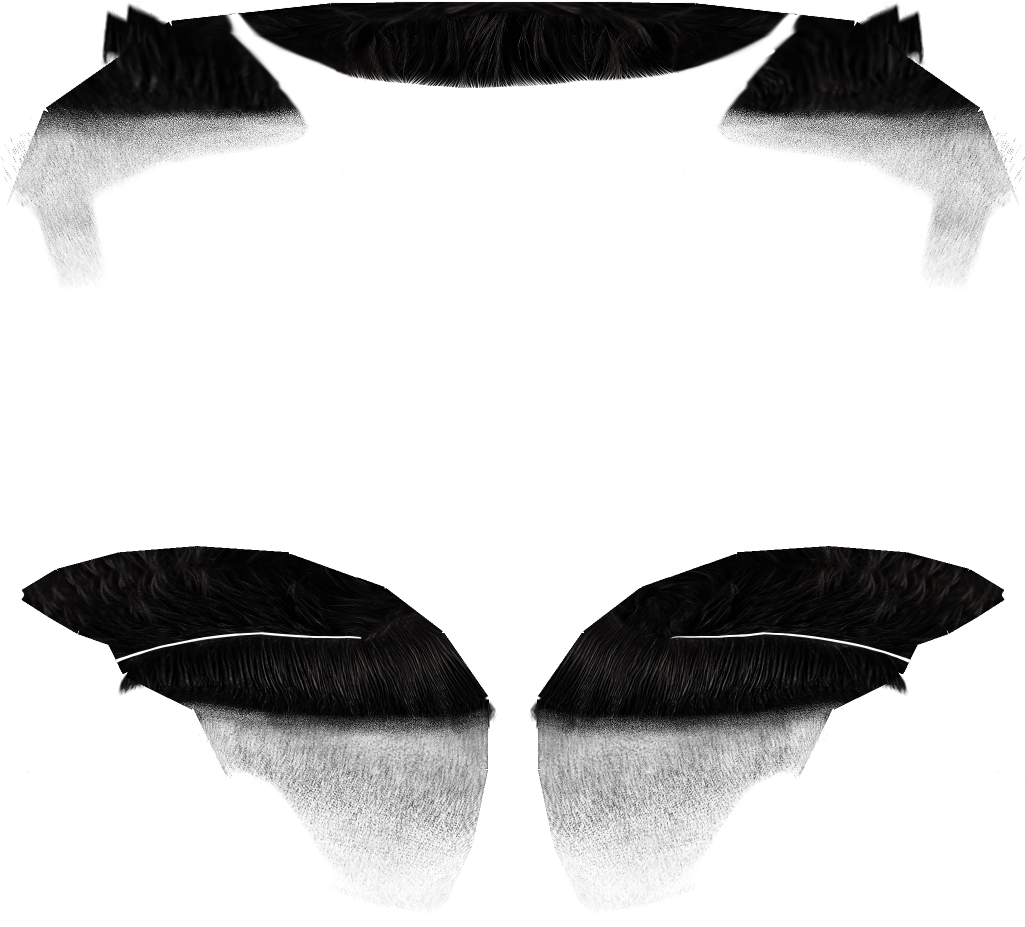 Random Hairbases - Illustration (1024x1024), Png Download