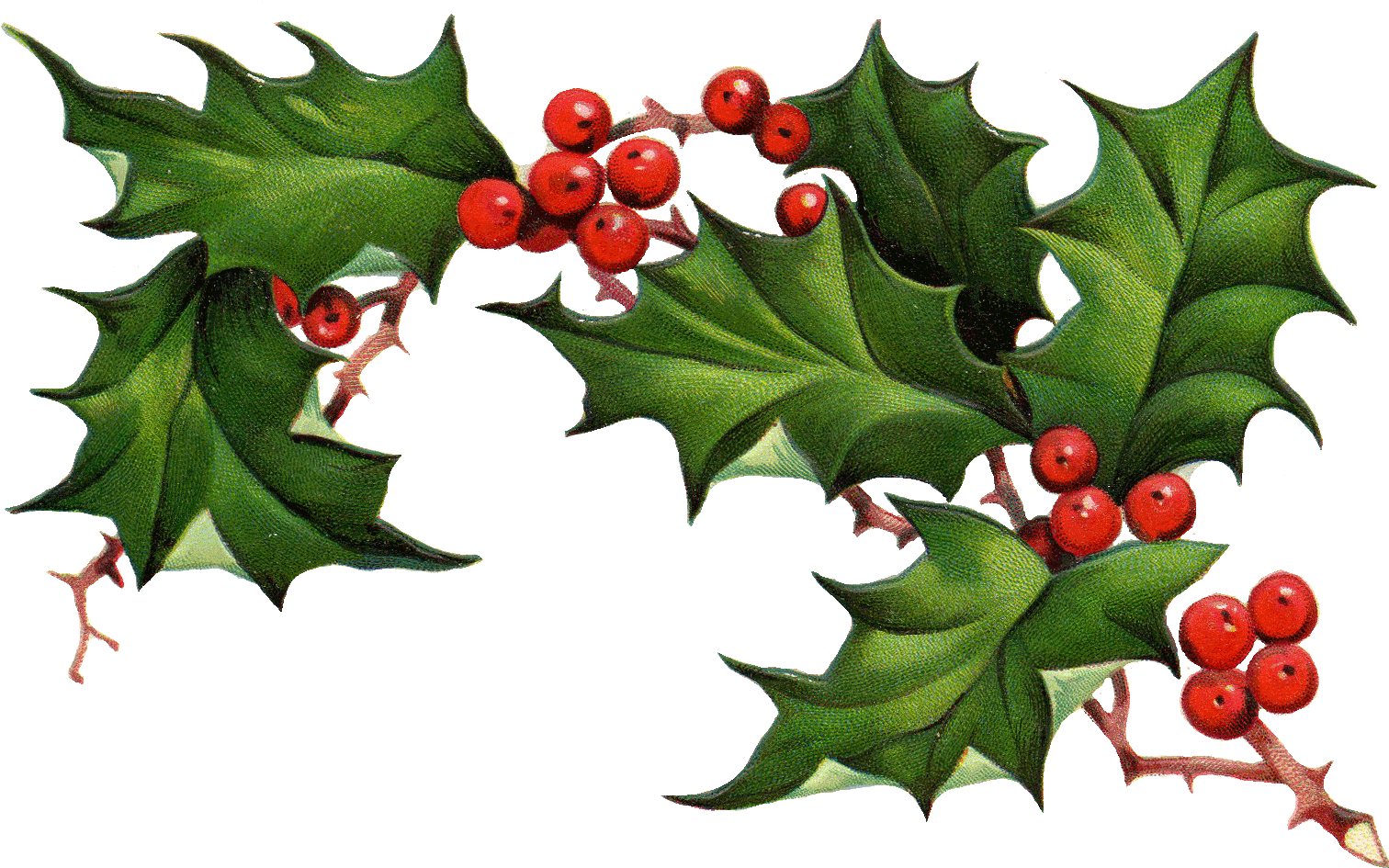 Christmas Holly Border Free Clipart Free Clip Art Images - Schwarzes Labrador Retriever, Das Geschenk Holt Karte (1532x965), Png Download