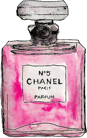 Chanel - Chanel Perfume Drawing (333x531), Png Download