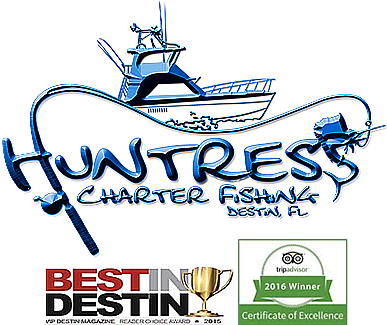 Charter Boat Huntress - Charter Fishing (521x436), Png Download