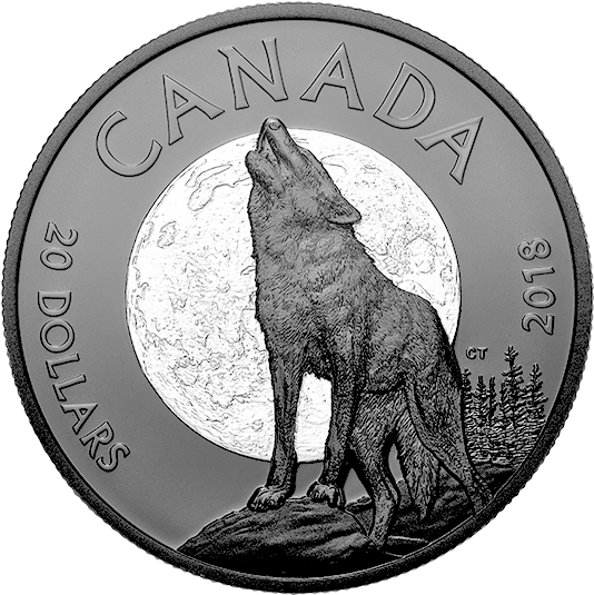 Pure Silver Coin - Nocturnal By Nature Coin (570x570), Png Download