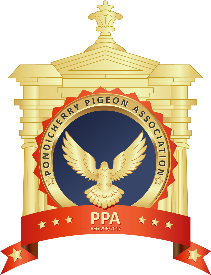 Main Logo - Design (900x1292), Png Download