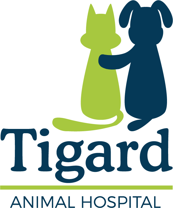 Tigard Animal Hospital - Cartoon (605x726), Png Download