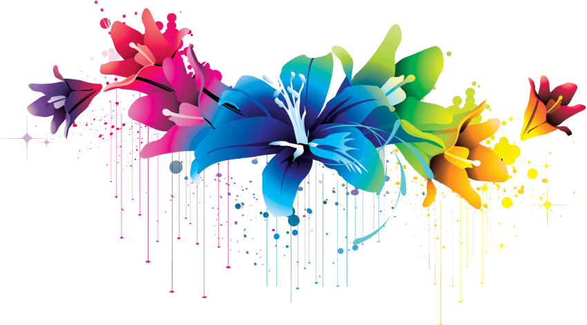 Free Png Download Colorful Floral Design Png Png Images - Colorful Floral Design Png (850x471), Png Download