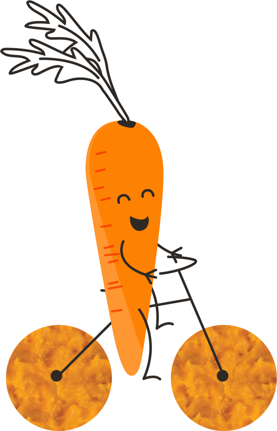 Carrot Clipart Vegetable Individual - Carrot (565x878), Png Download