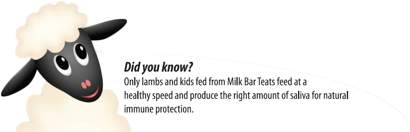 Did You Know - Animal (1383x428), Png Download