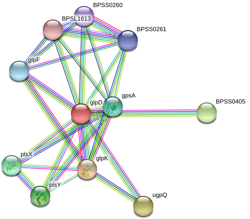 Glpd Protein - Circle (976x473), Png Download