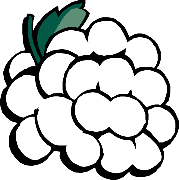Grapes Black And White Clipart Clipart Kid - Clip Art Black And White Grapes (594x599), Png Download