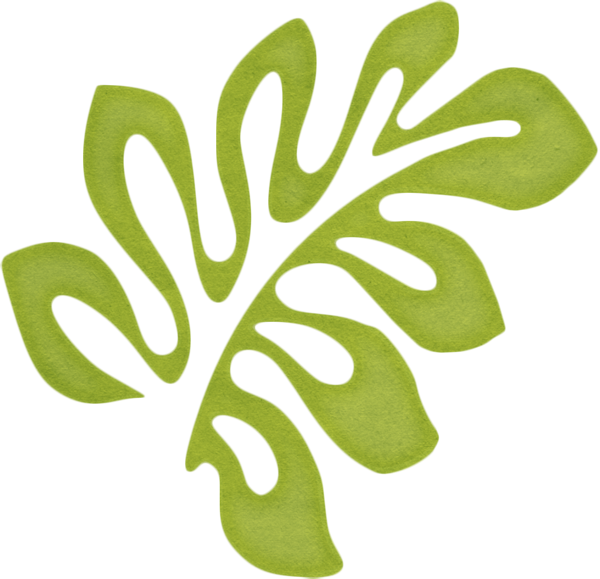 Dtd Palmleaf2 - Clip Art (1177x1135), Png Download