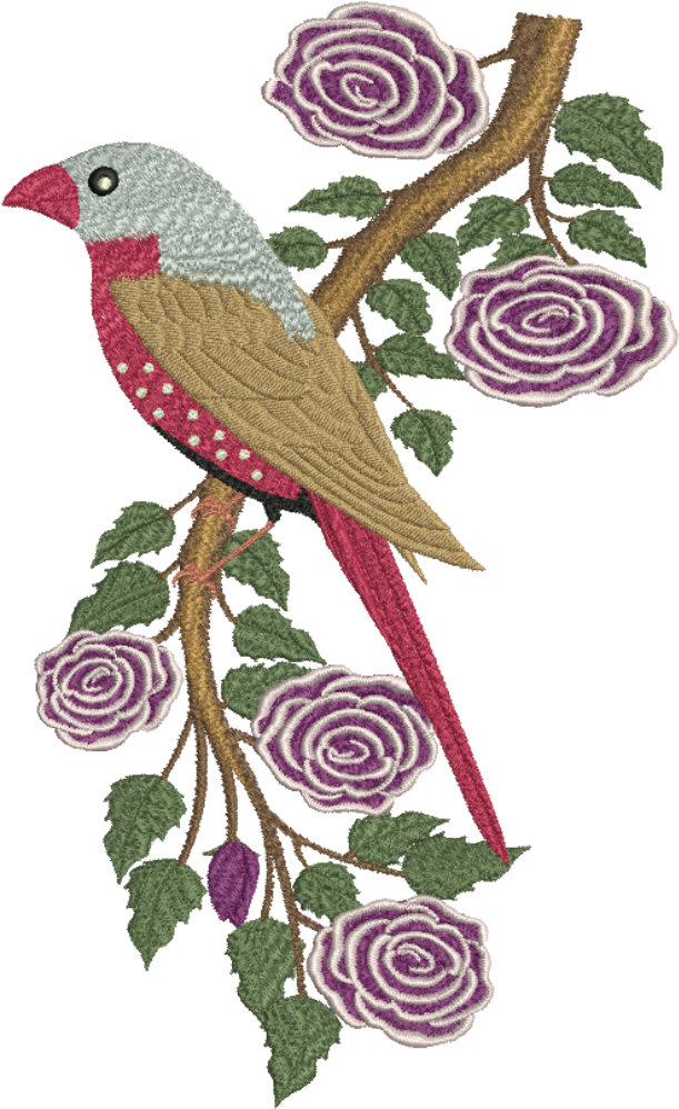 Crimson Finch - Png (1000x1000), Png Download