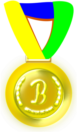 Gold Medal Silver Medal Bronze Medal - Circle (528x750), Png Download