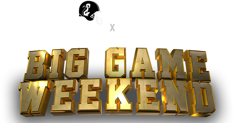 Big Game Logo 01 904 - Illustration (904x435), Png Download