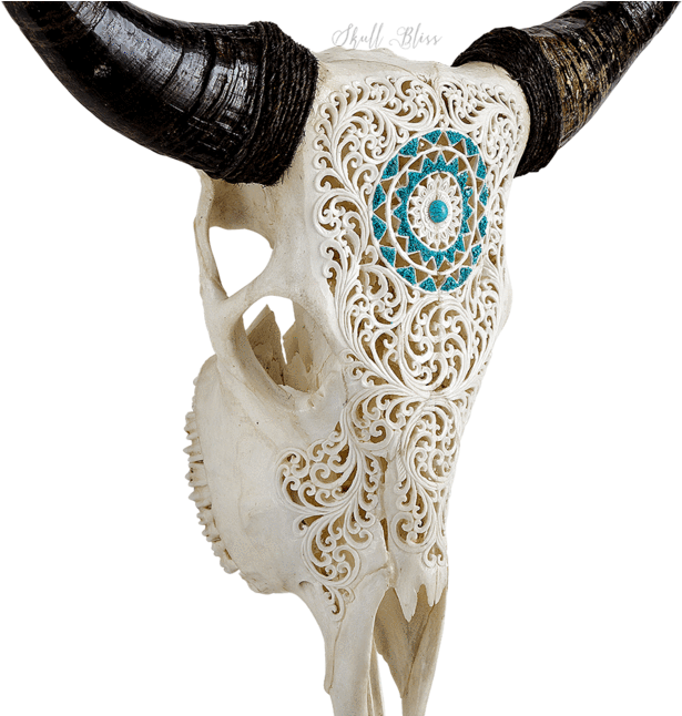 Carved Cow Skull // Xl Horns - Cow Skull Carving (645x645), Png Download