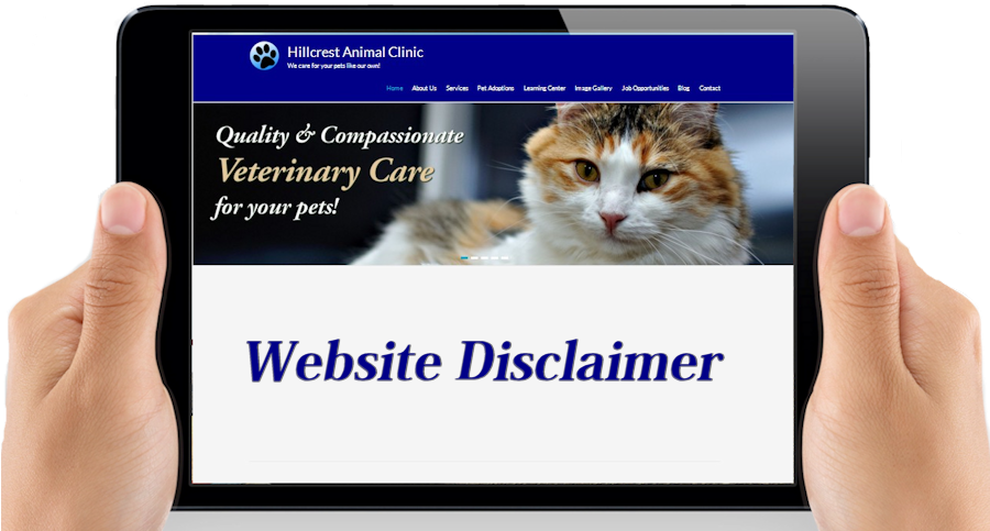 Kitten (900x534), Png Download