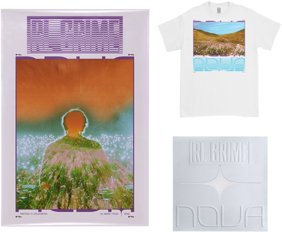 Grass (600x600), Png Download