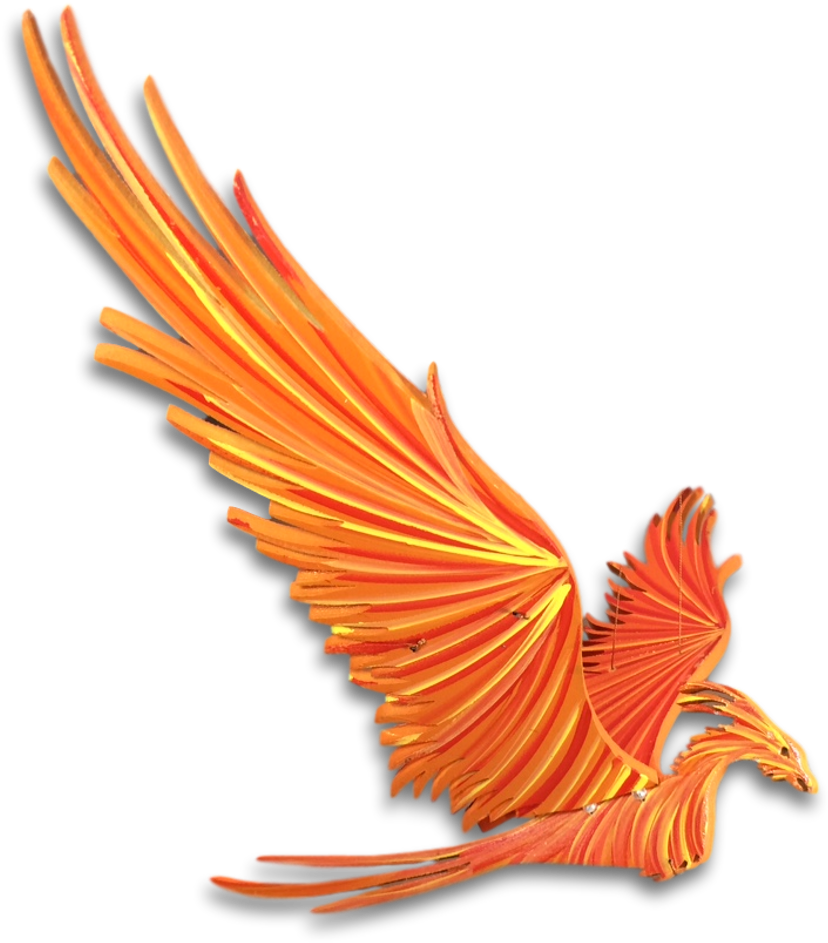 Orange Phoenix Flying Mobile - Illustration (1000x1000), Png Download