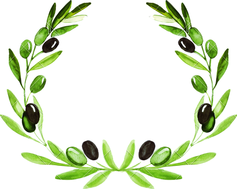 Friendship (800x637), Png Download