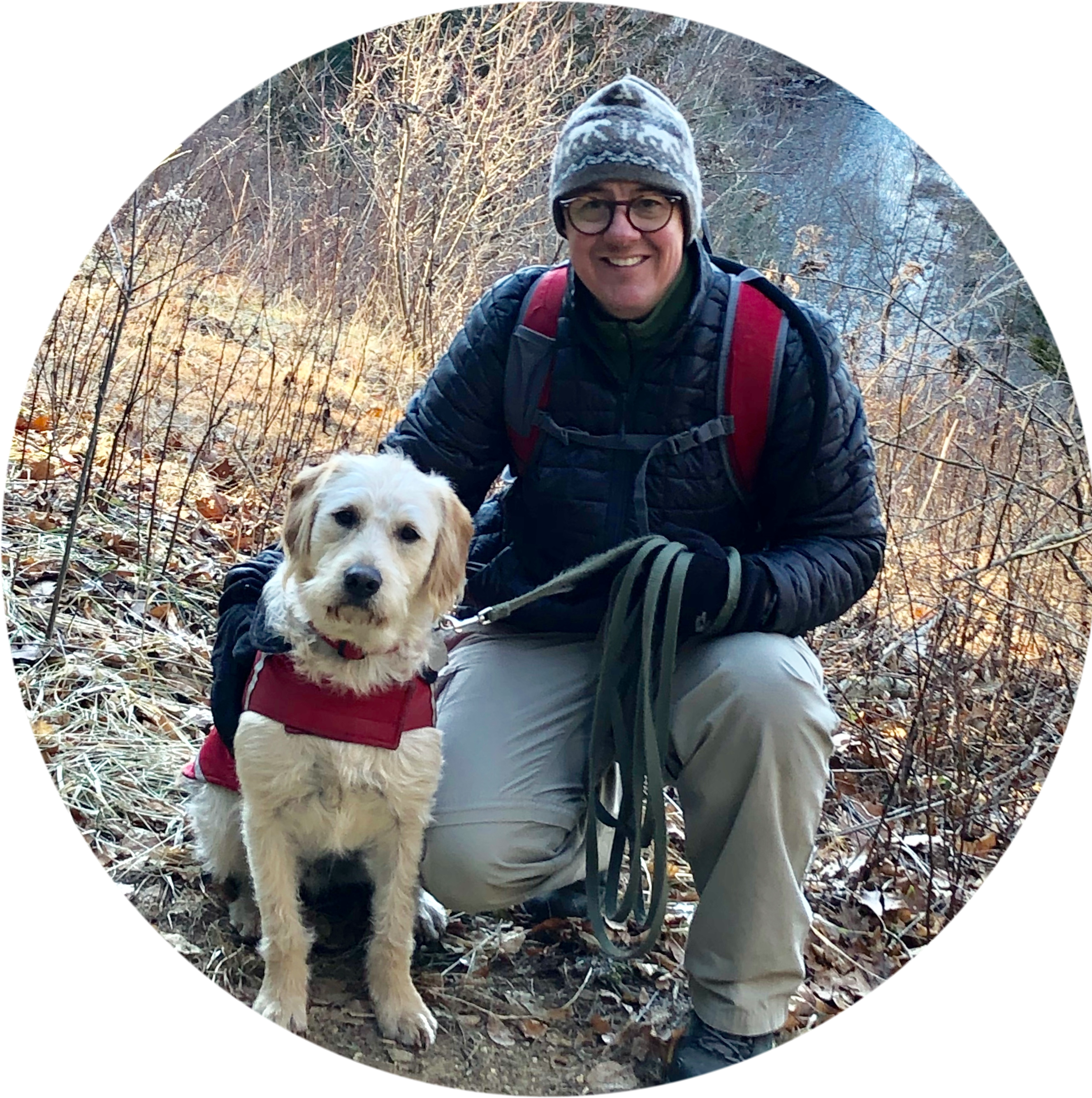 I'm Just An Average Middle Aged Guy Who Has An Awesome - Companion Dog (2844x2845), Png Download