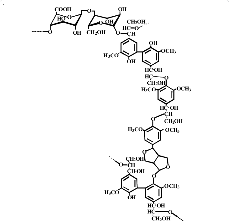 A Typical Partial Structure Of The Lcc Obtained From - Diagram (760x733), Png Download