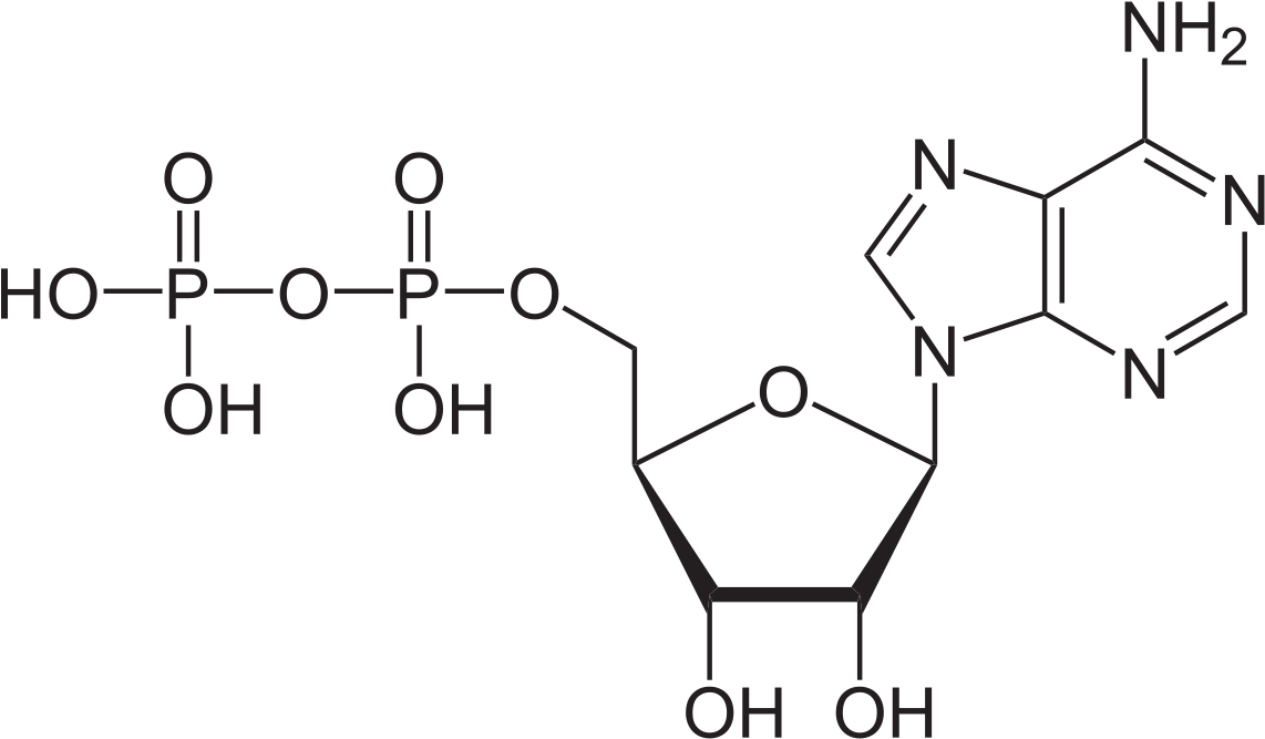 Guanine Dna Nucleotide (1200x700), Png Download