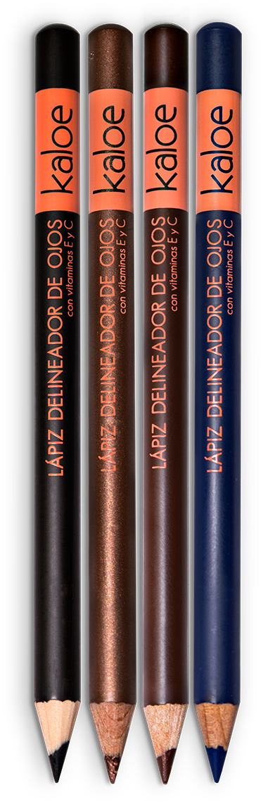 Book (500x1189), Png Download