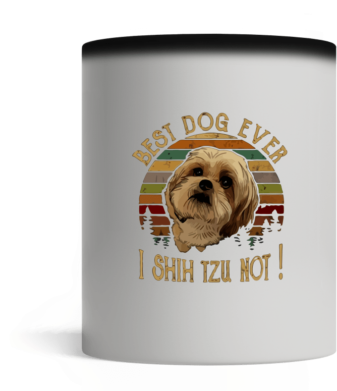 Pekingese (800x800), Png Download