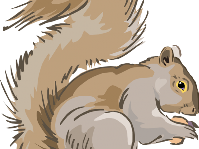 Head Clipart Squirrel - Grey Squirrel Cartoon Clipart (640x480), Png Download