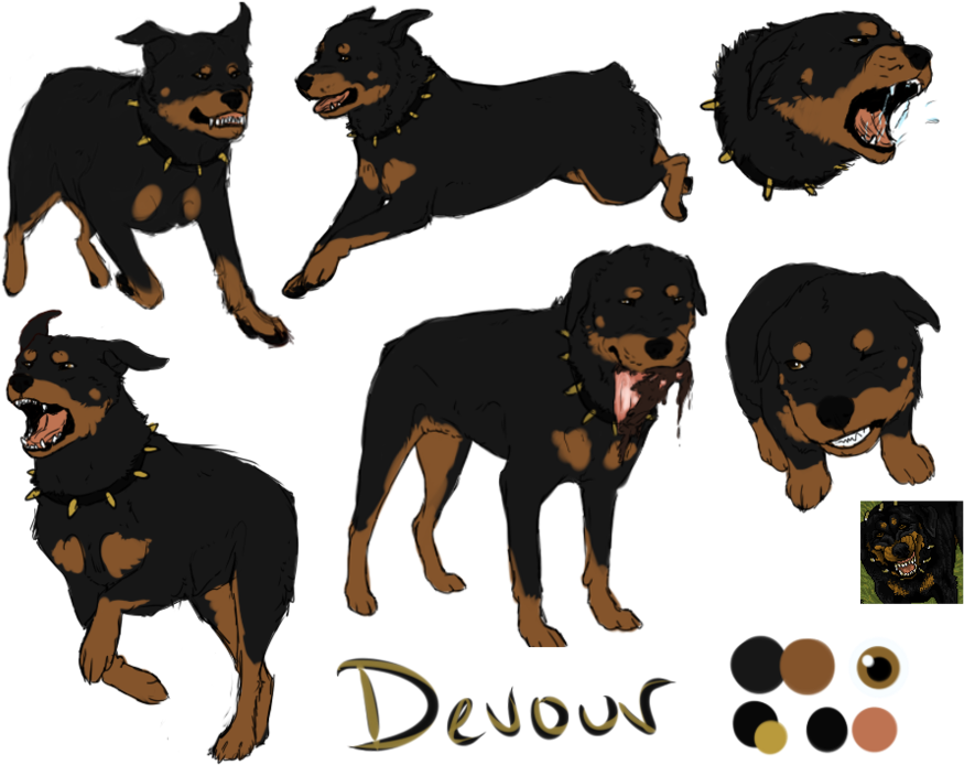 Rottweiler (900x712), Png Download